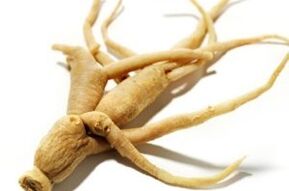 Ginseng gyökér a hatékonyság fokozása érdekében
