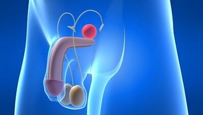 Kenés a férfiakban izgalom alatt, mi az